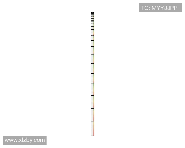 《2025年业余足球联赛明星球员全名单及实力分析》