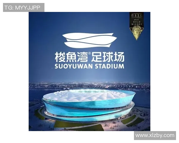 世界超级球星足球赛点燃激情 燃起全球球迷狂热盛宴