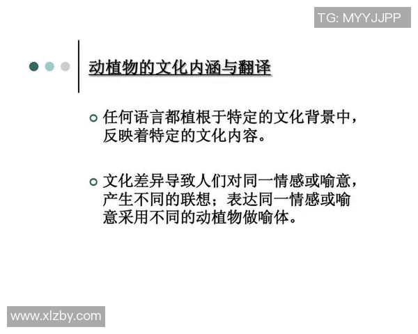两位足球球星的英文名字翻译与文化差异分析
